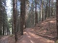 IMG_1682