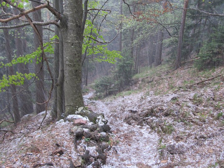IMG_1794.jpg - Eisregen!                               