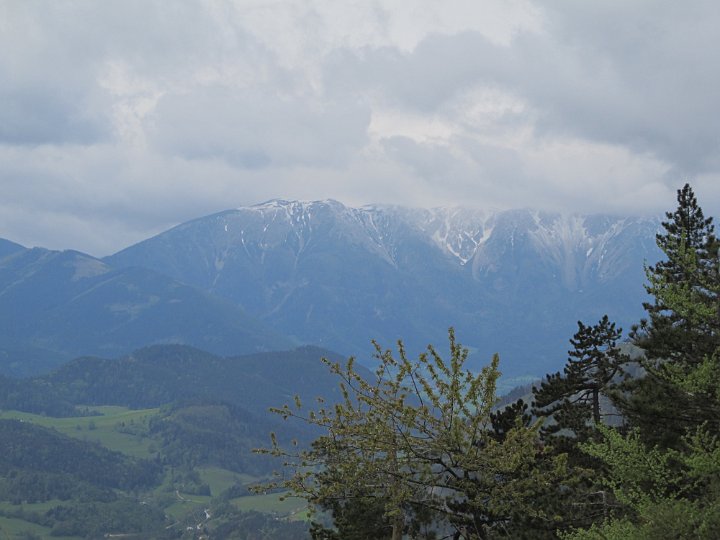 IMG_1799.jpg - ..Schneeberg bewundert...                               