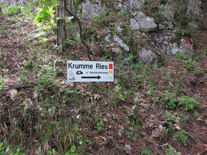 IMG_1848.jpg - ..aber die!                               