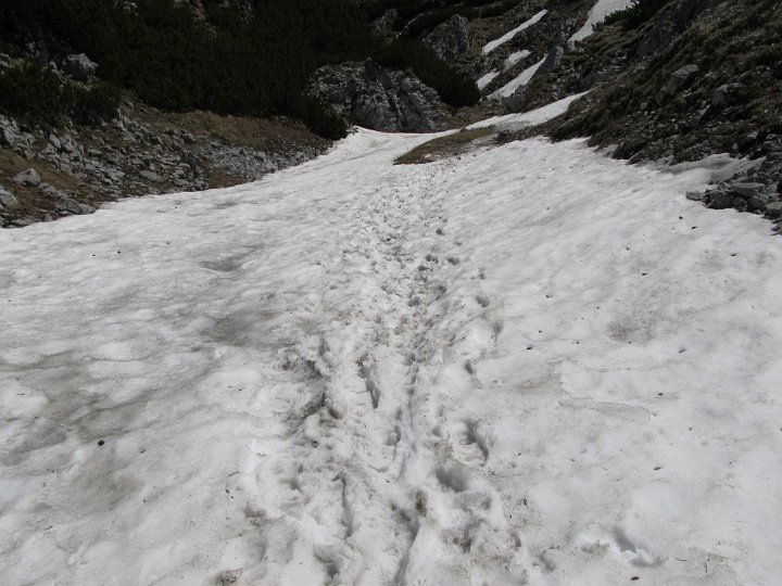IMG_1935.jpg - Durch den Schnee..                               