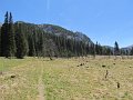 IMG_1921