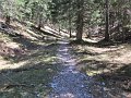 IMG_1922
