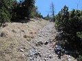 IMG_1928