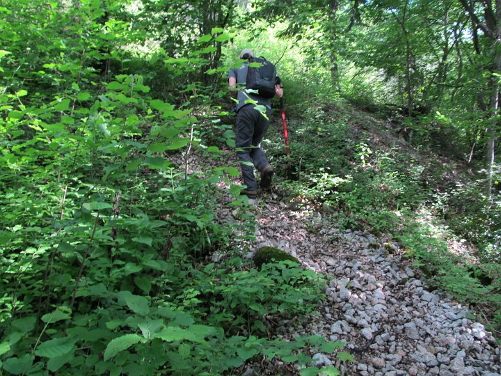 IMG_2023.jpg - Zunächst über die Wiese, dann ein steiler Anstieg….                               