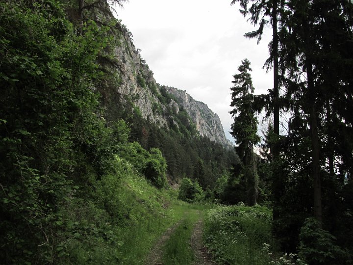 IMG_2099.jpg - Der Weg führt uns diese Forststraße an der Wand entlang, während es immer dunkler wird.                               