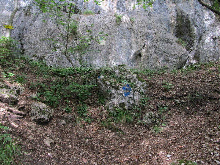IMG_2117.jpg - Bereits am Wandfußsteig                               