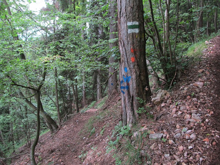 IMG_2118.jpg - Hier weiter nach links                               