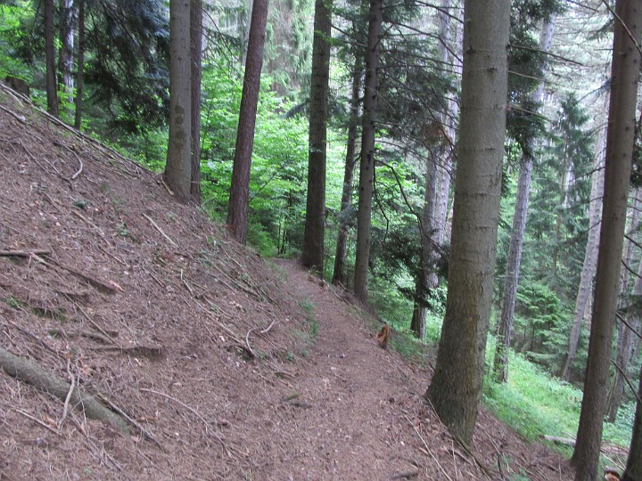 IMG_2169.jpg - Und dann gemütlich hinüber..                               