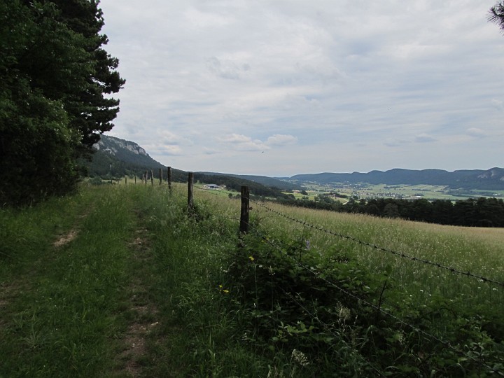 IMG_2170.jpg - ...zur Wiese und zum Parkplatz zurück.                               