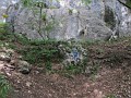 IMG_2117