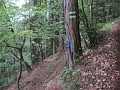 IMG_2118