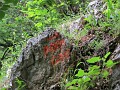 IMG_2120