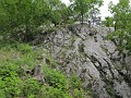 IMG_2121
