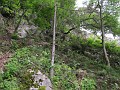 IMG_2123