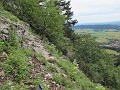 IMG_2126