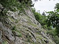 IMG_2127