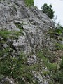 IMG_2129