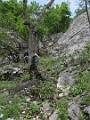 IMG_2130