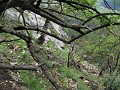 IMG_2131
