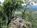 IMG_2134