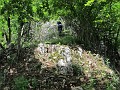 IMG_2138