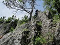 IMG_2141
