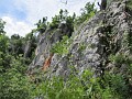 IMG_2142