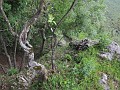 IMG_2144