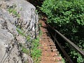IMG_2155
