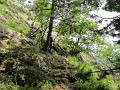 IMG_2157
