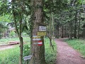 IMG_2166