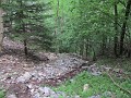 IMG_2168