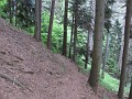 IMG_2169