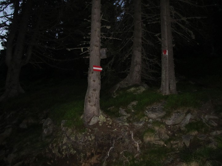 IMG_2189.jpg - Nach einem längerem Forststraßenstück geht es in den Wald hinein,                               