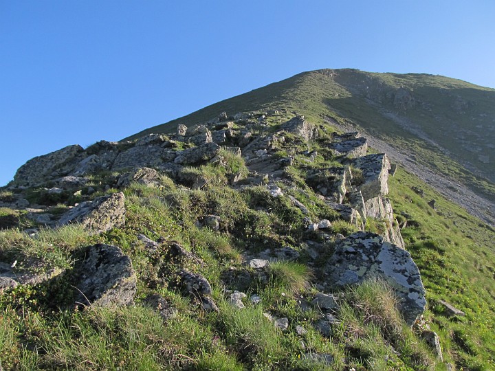 IMG_2249.jpg - Meine unzähligen steilen Aufstiege heuer auf die Hohe Wand machen sich bezahlt.                               