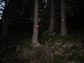 IMG_2189