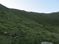 IMG_2220