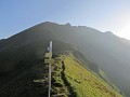 IMG_2227