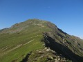 IMG_2236