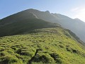 IMG_2238