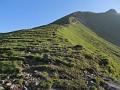 IMG_2241