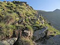 IMG_2246