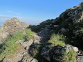 IMG_2248