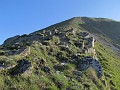 IMG_2249
