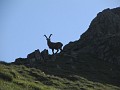 IMG_2264