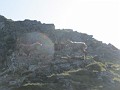 IMG_2265