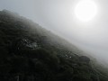 IMG_2269