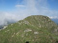 IMG_2306