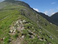 IMG_2329